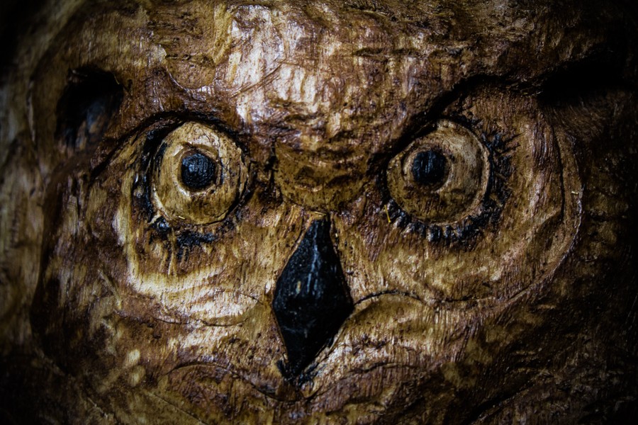 Owl - Sculpture